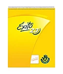 Cuad. Éxito 19x24 Z3 C/E48hC