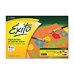 Block Éxito Nº6 color 24h