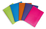 Carp. plast. Dello A4 c/elástico color surtido