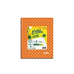 Cuad. Éxito 16x21 lun nara48hR