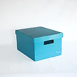 Caja arch. Plana c/tapa turquesa