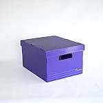 Caja arch. Plana c/tapa violeta