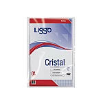 Folio Liggo Of cristal  x100 40 mic