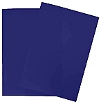 Tapa encuad. PDP A4 azul