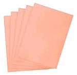 Carpeta caratula Oficio salmon