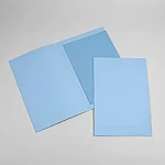 Carpeta caratula Oficio celeste