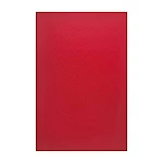 Tapa encuad. BP A3 rojo