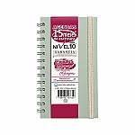 Agenda Nivel 10 bolsillo power verde pastel