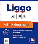 Folio Liggo A4 70mic x100